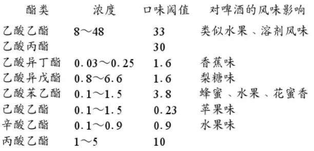 精釀啤酒設(shè)備,啤酒廠設(shè)備,開辦啤酒廠,發(fā)酵，錐形罐